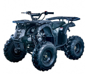 125cc – ATV – Tao tao