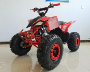 125cc – ATV – Pioneer