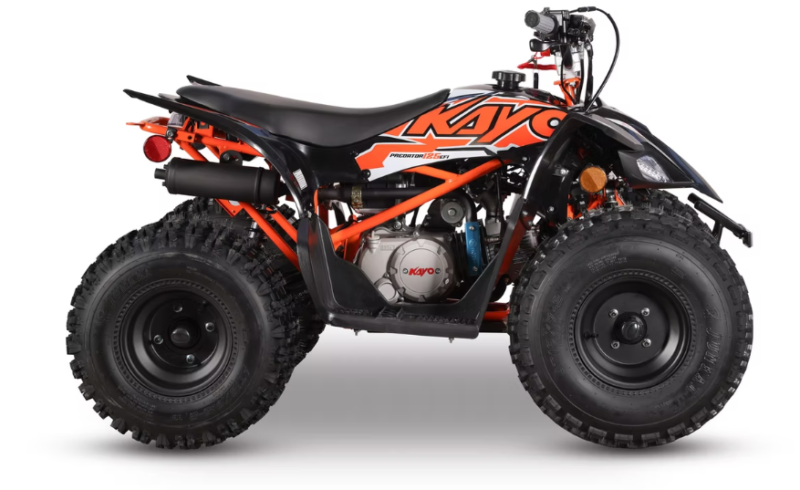 Kayo Predator 125 EFI - Image 2